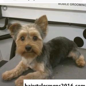 Meet your Posher, Kay